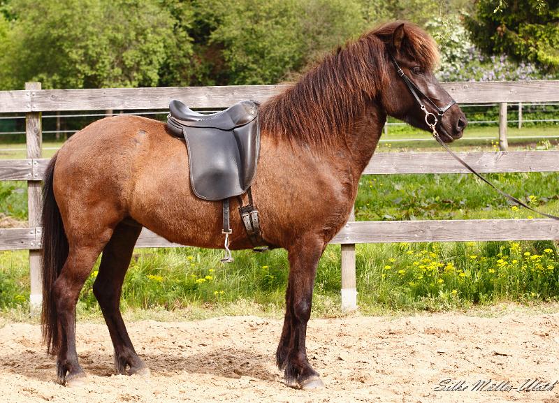 Tyja (4).jpg - Tyja fra Stora-Hofi